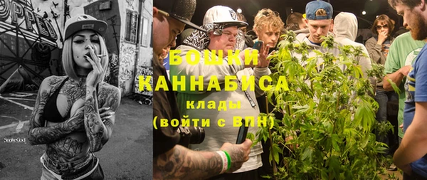 ПСИЛОЦИБИНОВЫЕ ГРИБЫ Бронницы