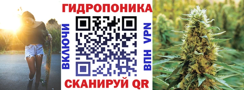 Каннабис сатива  Горячеводский 